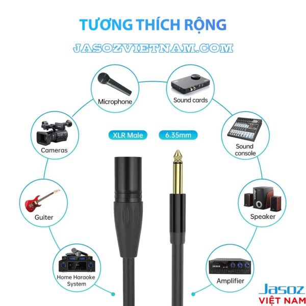 Cáp Canon XLR to XLR 3Pin Mono 6.5mm Jasoz C108